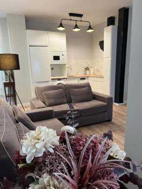 Precioso y céntrico apartamento